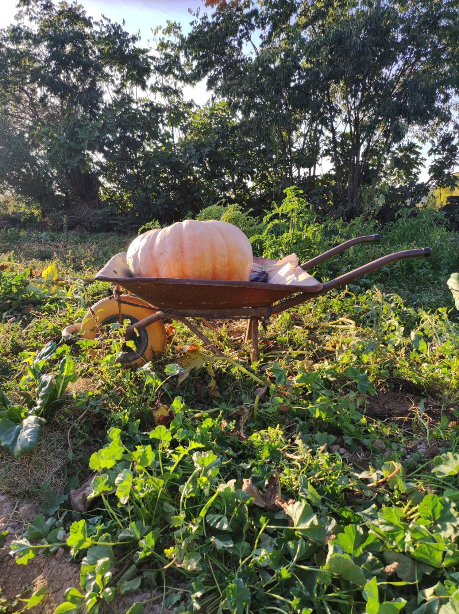Appartamento Guara Viva Abiego Esterno foto