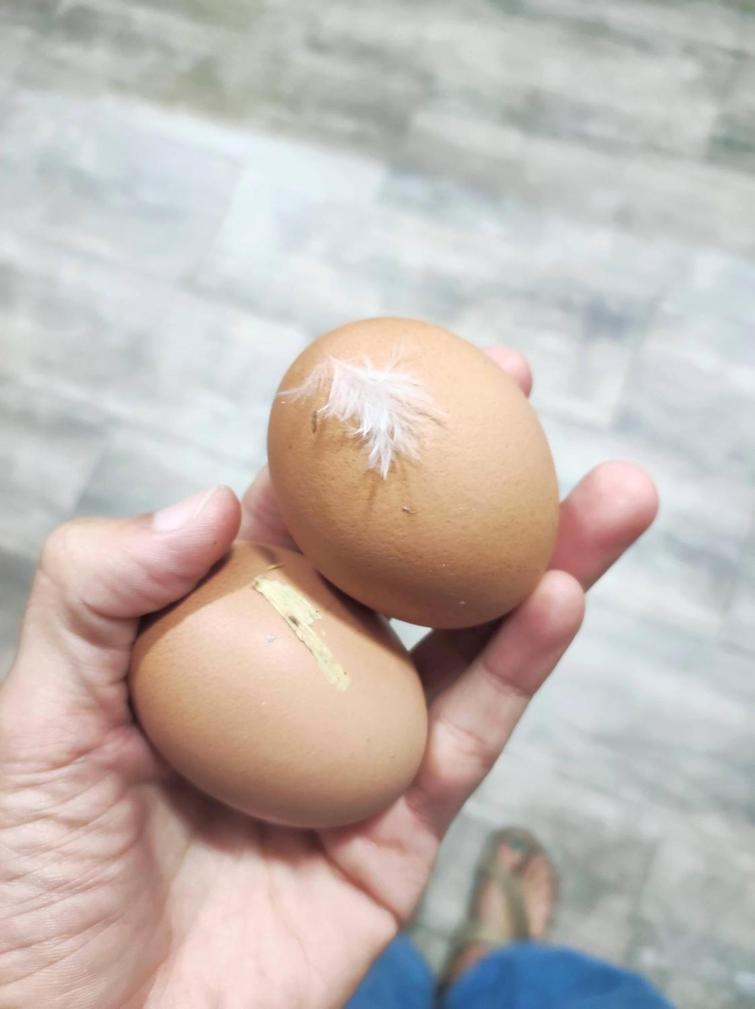 Appartamento Guara Viva Abiego Esterno foto
