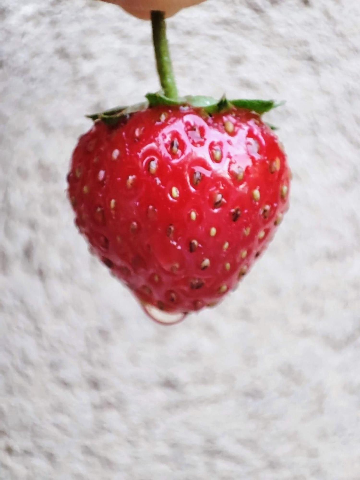 Appartamento Guara Viva Abiego Esterno foto
