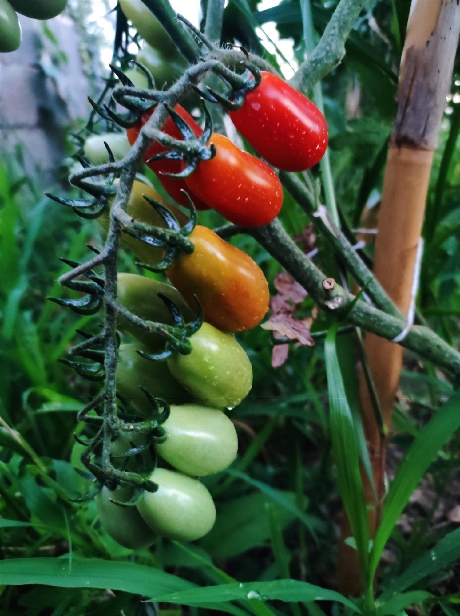 Appartamento Guara Viva Abiego Esterno foto